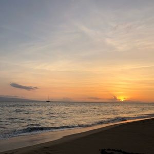 Meet your Posher, Riley